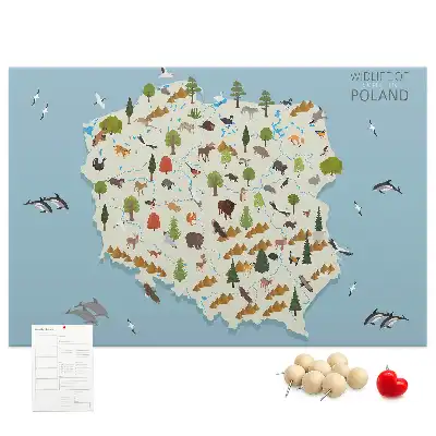 Panou de plută cu harta animalelor din Polonia