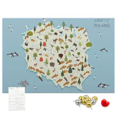 Panou de plută cu harta animalelor din Polonia