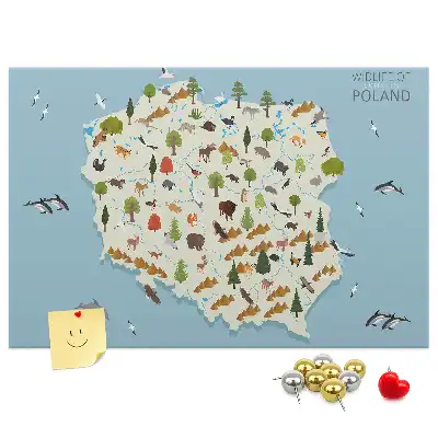 Panou de plută cu harta animalelor din Polonia