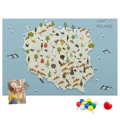 Panou de plută cu harta animalelor din Polonia
