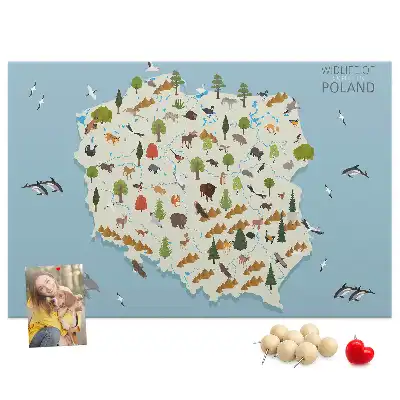 Panou de plută cu harta animalelor din Polonia