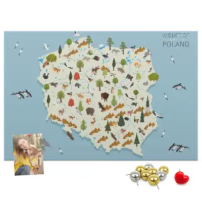 Panou de plută cu harta animalelor din Polonia