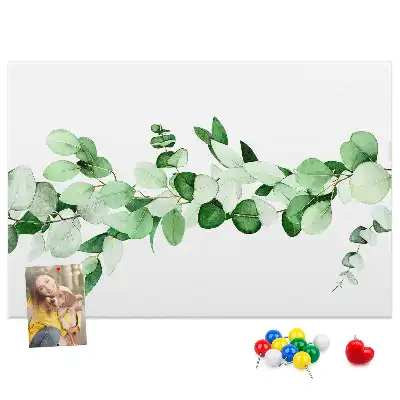 Tablă de plută Creangă pentru plante