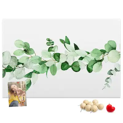 Tablă de plută Creangă pentru plante