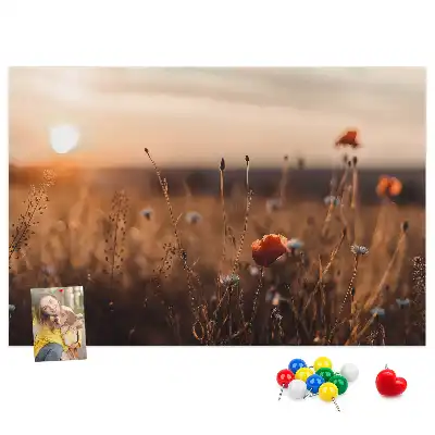 Tabla de pluta Câmp răsărit de soare