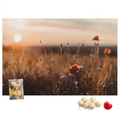Tabla de pluta Câmp răsărit de soare
