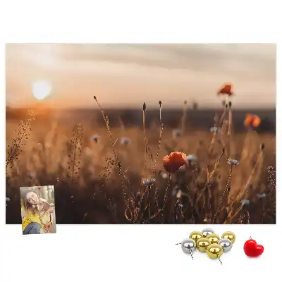 Tabla de pluta Câmp răsărit de soare