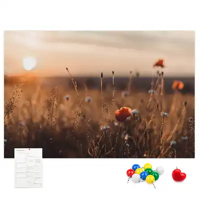 Tabla de pluta Câmp răsărit de soare