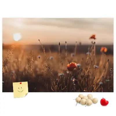 Tabla de pluta Câmp răsărit de soare