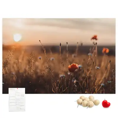 Tabla de pluta Câmp răsărit de soare