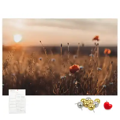 Tabla de pluta Câmp răsărit de soare