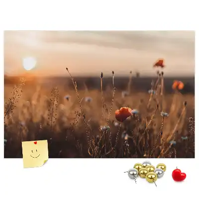 Tabla de pluta Câmp răsărit de soare