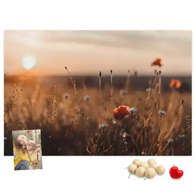 Tabla de pluta Câmp răsărit de soare