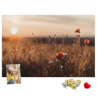 Tabla de pluta Câmp răsărit de soare