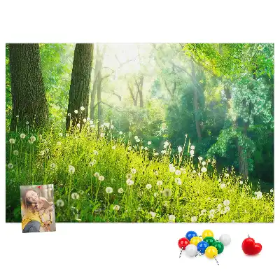 Tabla de pluta Natură de primăvară
