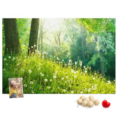 Tabla de pluta Natură de primăvară