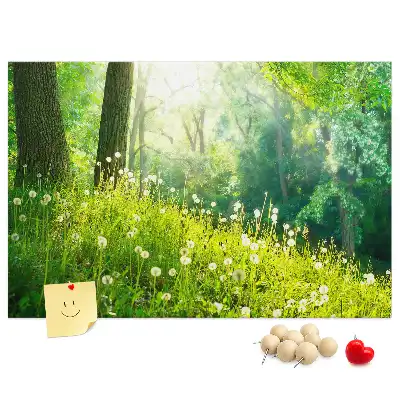 Tabla de pluta Natură de primăvară