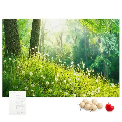 Tabla de pluta Natură de primăvară