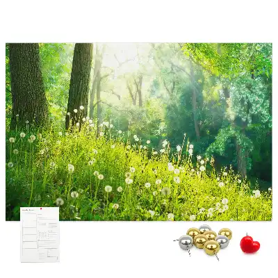 Tabla de pluta Natură de primăvară