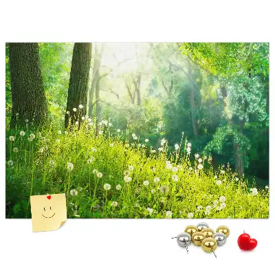 Tabla de pluta Natură de primăvară