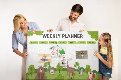 Panou din plută pentru orar școlar