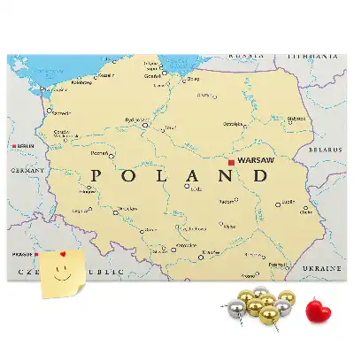 Hartă politică a Poloniei din plută