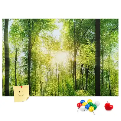 Panou din plută cu peisaj de pădure și copaci
