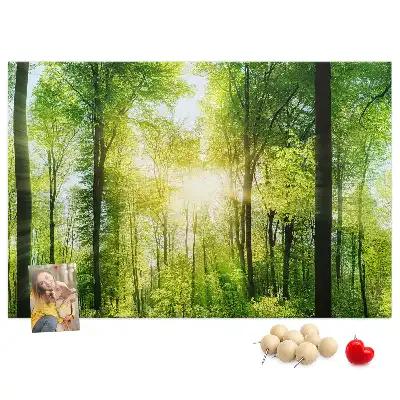 Panou din plută cu peisaj de pădure și copaci