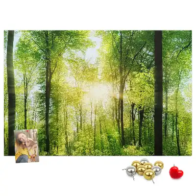 Panou din plută cu peisaj de pădure și copaci