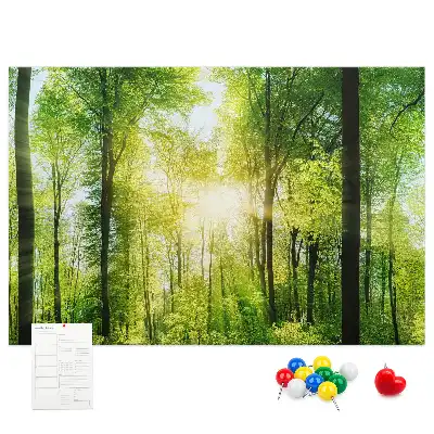 Panou din plută cu peisaj de pădure și copaci