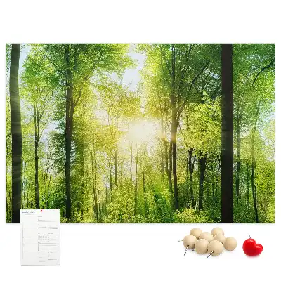 Panou din plută cu peisaj de pădure și copaci