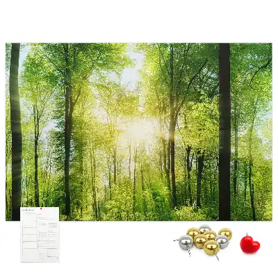 Panou din plută cu peisaj de pădure și copaci