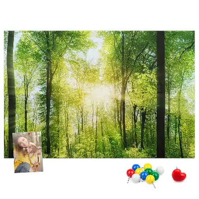 Panou din plută cu peisaj de pădure și copaci