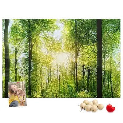 Panou din plută cu peisaj de pădure și copaci