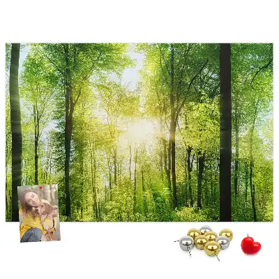 Panou din plută cu peisaj de pădure și copaci