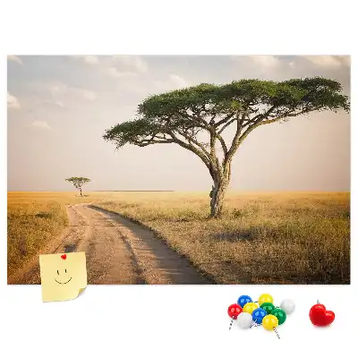 Tablou din plută Peisaj din Africa