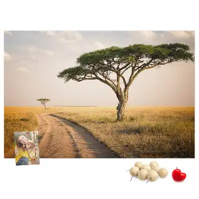 Tabla de pluta Peisaj din Africa