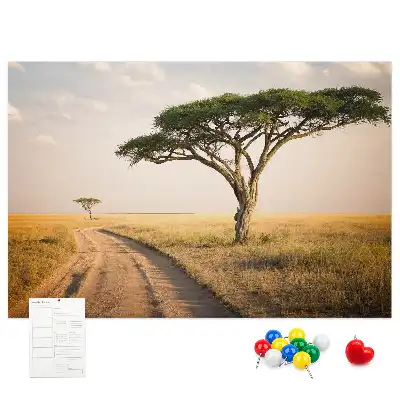 Tabla de pluta Peisaj din Africa
