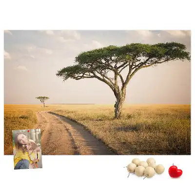 Tabla de pluta Peisaj din Africa