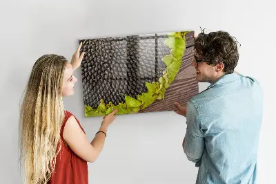 Tablă magnetică Floarea-soarelui