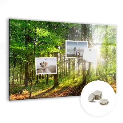 Tablă magnetică cu peisaj de răsărit de soare în pădure