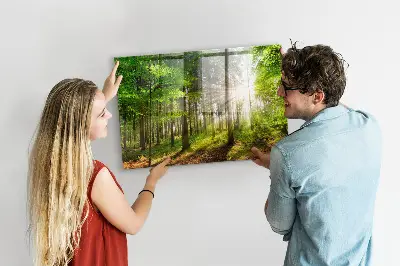 Tablă magnetică cu peisaj de răsărit de soare în pădure