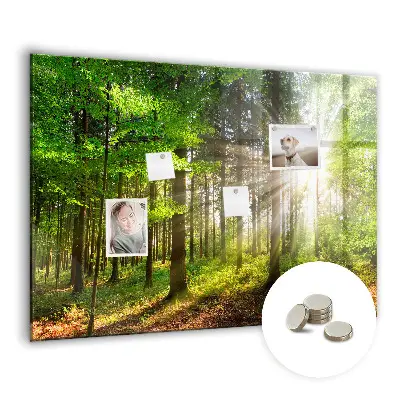 Tablă magnetică cu peisaj de răsărit de soare în pădure
