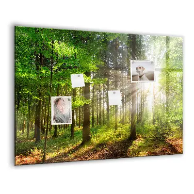 Tablă magnetică cu peisaj de răsărit de soare în pădure
