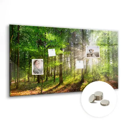 Tablă magnetică cu peisaj de răsărit de soare în pădure