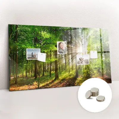 Tablă magnetică cu peisaj de răsărit de soare în pădure