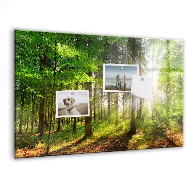 Tablă magnetică cu peisaj de răsărit de soare în pădure