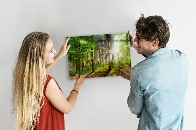 Tablă magnetică cu peisaj de răsărit de soare în pădure