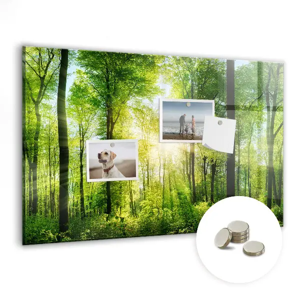 Tablă magnetică cu model de pădure și copaci