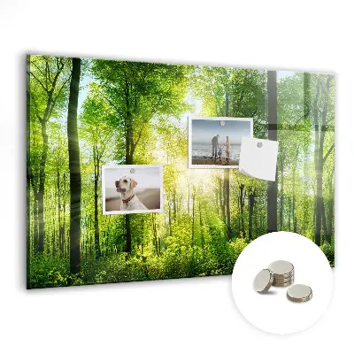 Tablă magnetică cu model de pădure și copaci